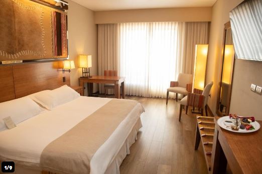 Hotel Alejandro I 5{star}