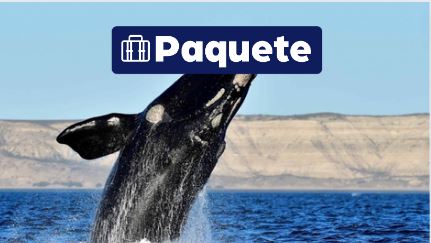 Península Valdés con Punta Tombo {package-custom-search}