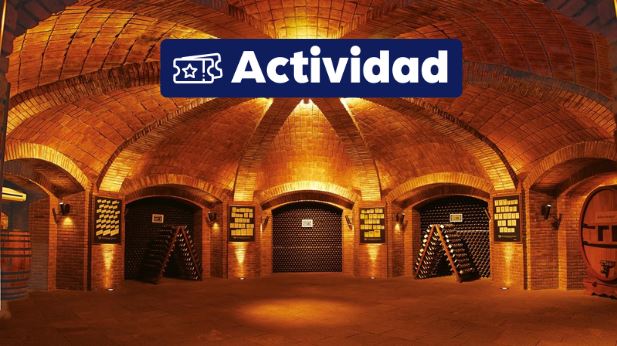 Exc. Bodegas y Olivares en Maipu {activities-custom-search} 