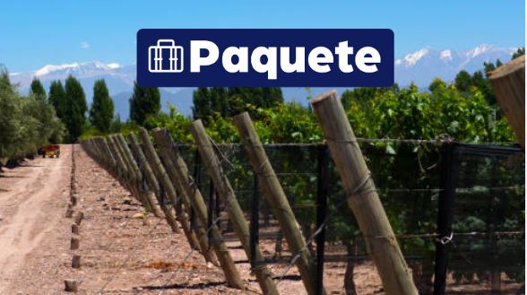 Paquete Mendoza Extendido {package-custom-search}