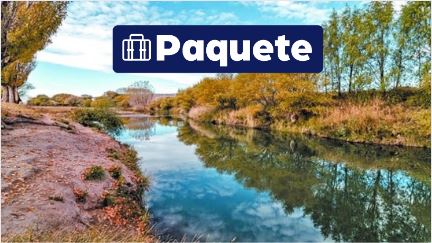 Península Valdés & Valle de Río Chubut {package-custom-search}