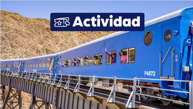 Exc. Tren de las Nubes & Bus {activities-custom-search}