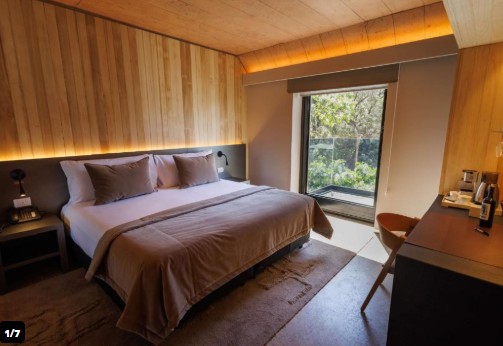 Hotel Hualta, Curio by Hilton 4 {star}